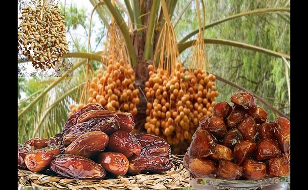 market analysis of dates in Malaysia