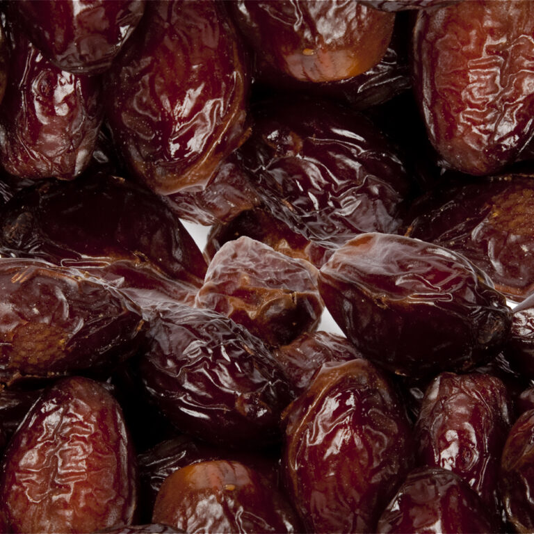 Kurma Medjool Borong