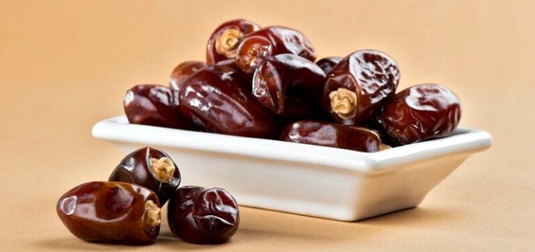 harga kurma Medjool