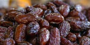kurma